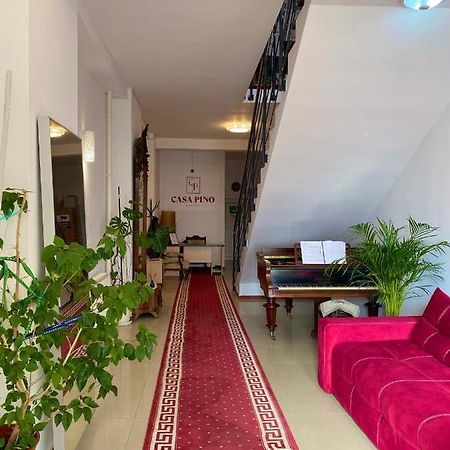 Casa Pino Hotel Brassó Kültér fotó